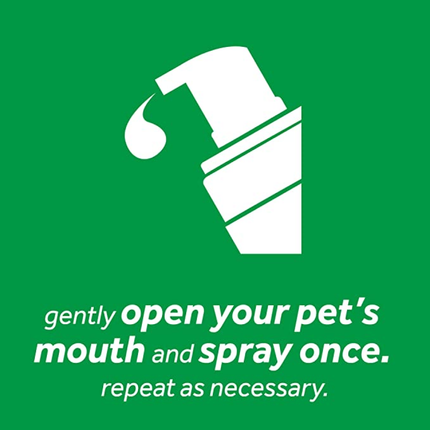 Tropiclean Fresh Breath Oral Care Foam For Dogs