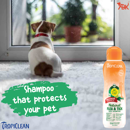 Tropiclean Maximum Strength Natural Flea & Tick Shampoo for Dogs