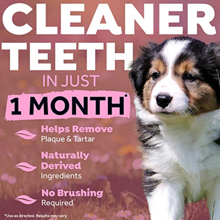 Tropiclean Fresh Breath Puppy Clean Teeth Gel for Dogs