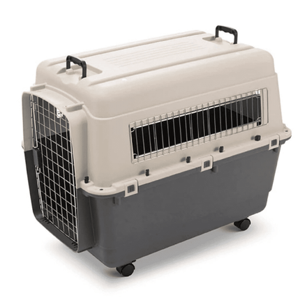 Savic Andes 6 Carrier for Dogs and Cats (Ivory)