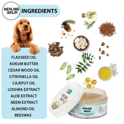Papa Pawsome 100% Natural Healing Balm for Dog