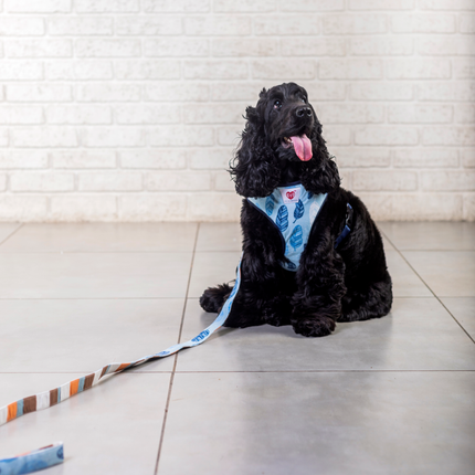 Pet And Parents Stripy Feathers Reversible Harness for Dogs