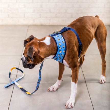 Pet And Parents Blue Flowers and Stripes Reversible Harness for Dogs