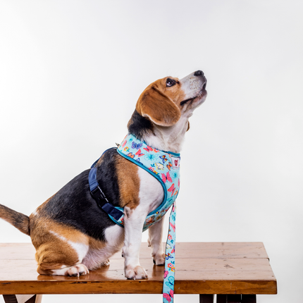 Pet And Parents Butterfly and Polka Reversible Harness for Dogs