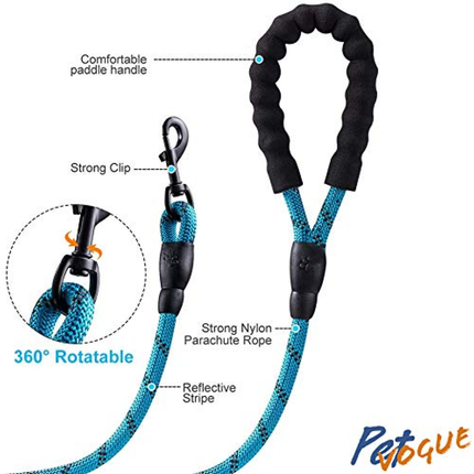 Pet Vogue Rope Leash for Dogs (Blue)