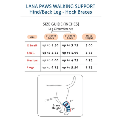 Lana Paws Back Leg Splint Braces for Hock Joint Ankle Support & Mobility for Dogs and Cats (Black)