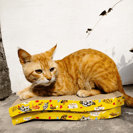 GiGwi Johnny Stick with Catnip & Natural Feathers Toy and Emily Pets Sofa Bed Scratching Pad for Cats and Kittens Combos