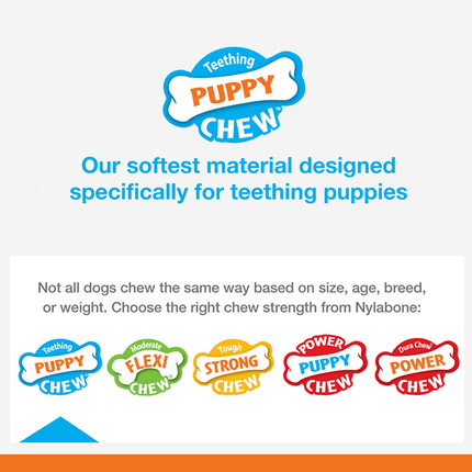Nylabone Puppy Teething Chicken Flavoured Wish Bone Chew Toy for Dogs (Blue)
