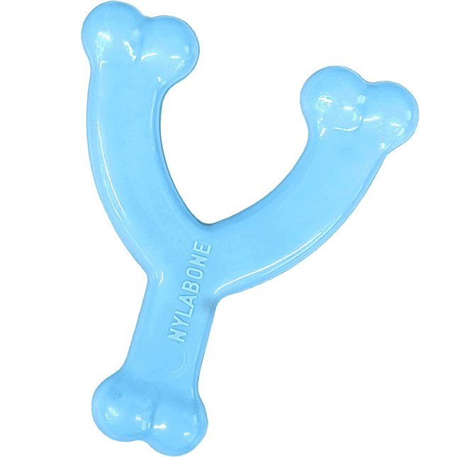 Nylabone Puppy Teething Chicken Flavoured Wish Bone Chew Toy for Dogs (Blue)