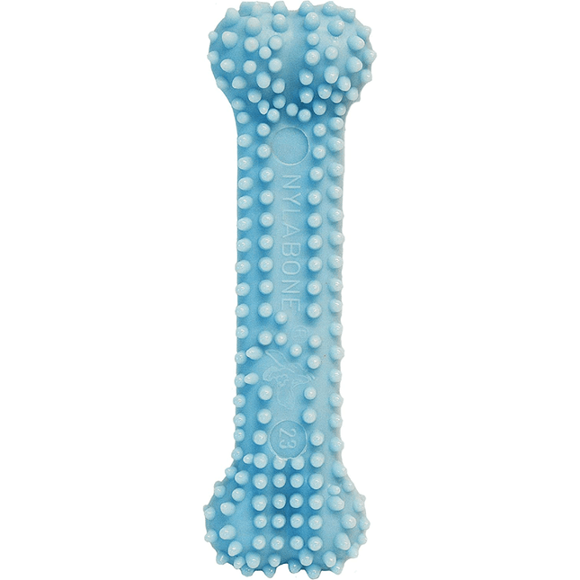 Nylabone Puppy Teething Chicken Flavoured Dental Bone Chew Toy for Dogs (Blue)