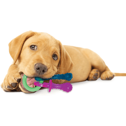 Nylabone Puppy Teething Bacon Flavoured Pacifier Toy for Dogs (Blue/Pink)