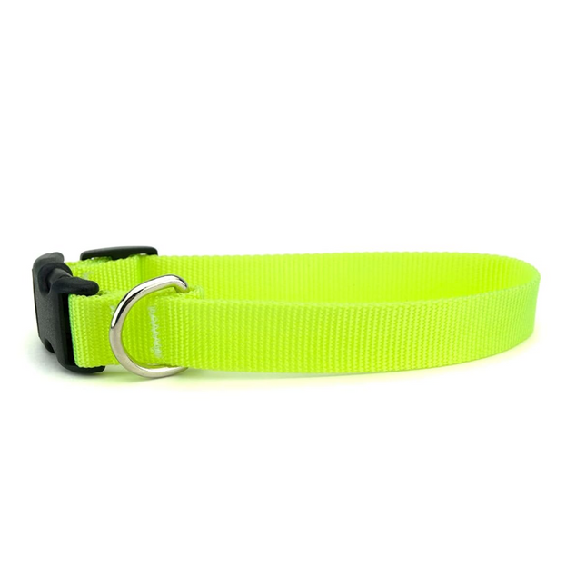 Adjustable Collar with Bell for Cats & Kittens (Lime Green)(Pack of 1)