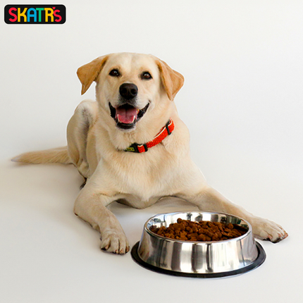 Skatrs Anti Skid Stainless Steel Bowl for Dogs and Cats (Buy 1 Get 1)