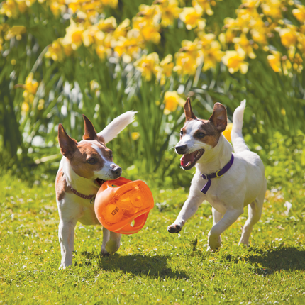 Kong Jumbler Ball Toy for Dogs (Orange)