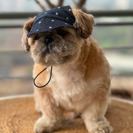 Pawgypets Hearty Cap for Dogs (Denim)
