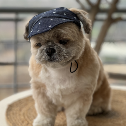 Pawgypets Hearty Cap for Dogs (Denim)