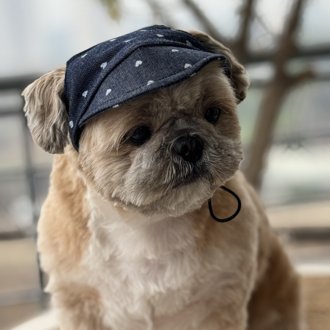 Pawgypets Hearty Cap for Dogs (Denim)