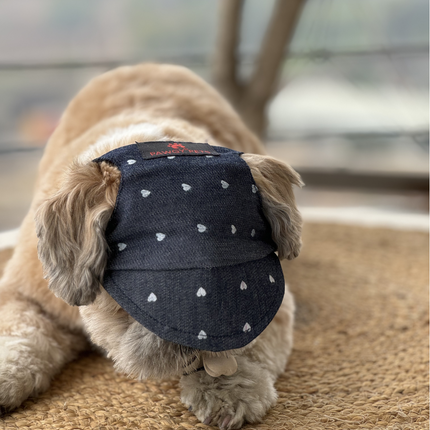 Pawgypets Hearty Cap for Dogs (Denim)