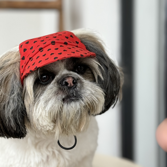 Pawgypets Heart Cap for Dogs (Red)