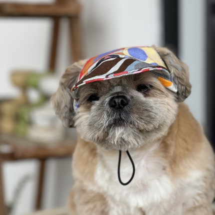 Pawgypets Cap for Dogs (Multi Color)