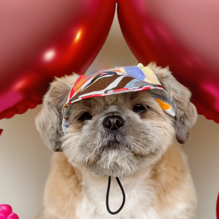 Pawgypets Cap for Dogs (Multi Color)