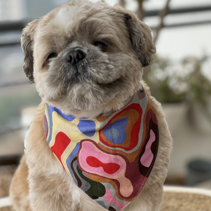 Pawgypets Bandana for Dogs and Cats (Multi Color)