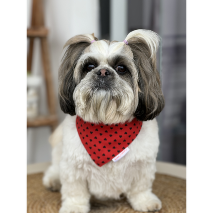 Pawgypets Heart Bandana for Dogs and Cats (Red)