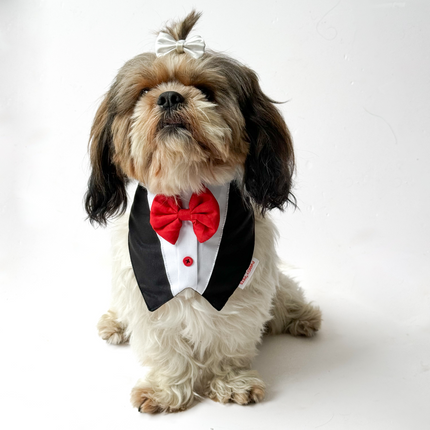 Pawgypets Formal Tux Bandana for Dogs and Cats (Black)