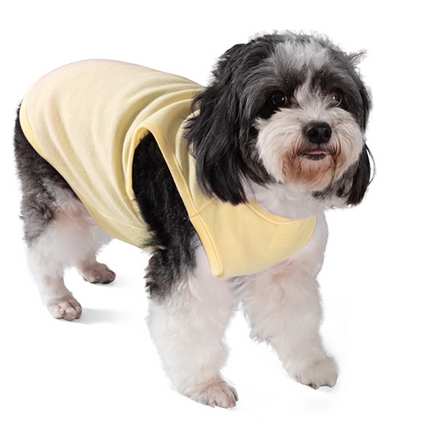 Talking Dog Club Tanky's Tank Tops for Dogs and Cats (Yellow)
