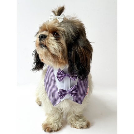 Pawgypets Casual Check Bandana for Dogs and Cats (Purple)