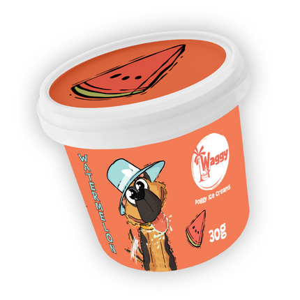 Waggy Zone Watermelon Aquamelon Ice Cream for Pets