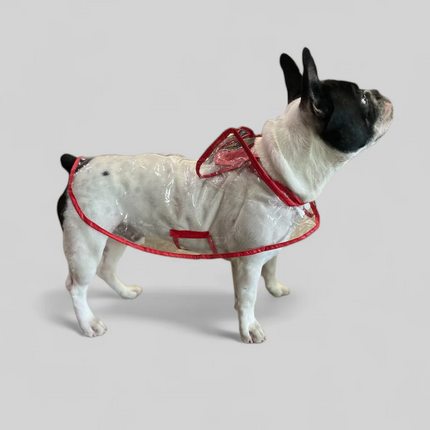 Talking Dog Club Waterproof Raincoat for Dogs (Red)
