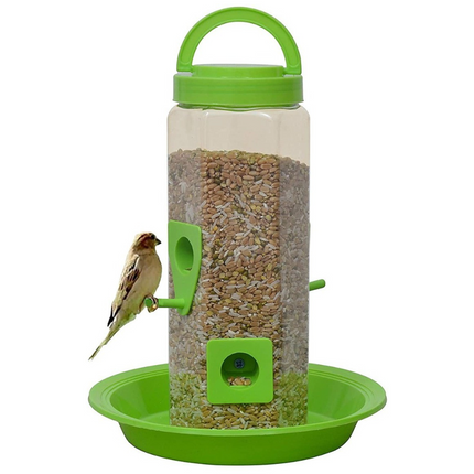 Chullbull Balcony Grill Food Feeder for Birds (Green)