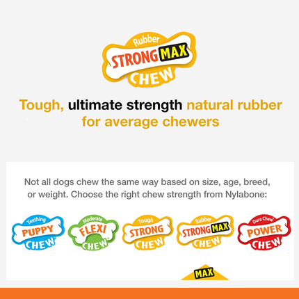 Nylabone Sliver Collection Beef Flavoured Stong Chew Toy for Dogs (Orange)