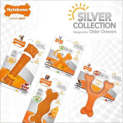 Nylabone Sliver Collection Beef Flavoured Stong Chew Toy for Dogs (Orange)