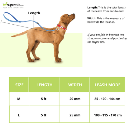 Furry & Co Weatherproof Leash for Dogs (Mango)