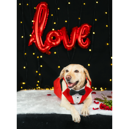 Dogobow Tuxedo for Dogs (Red) (Get a Bow Free)
