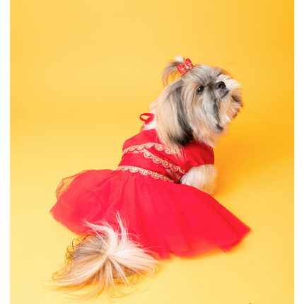 The Papaw Cartel Embellished Chanya Choli For Dogs (Red)