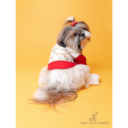 The Papaw Cartel Brocade Zari Koti With Gotapati Kurta For Dogs (White and Red)