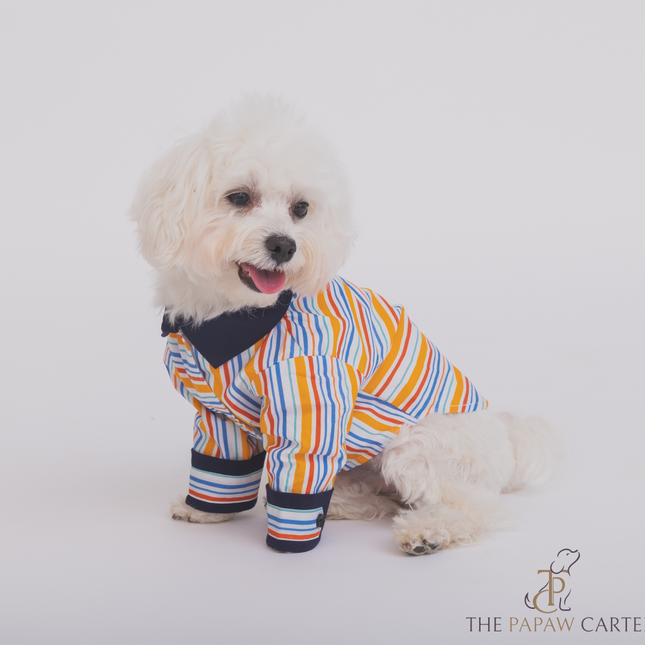 The Papaw Cartel Stripe Shirt for Dogs (Multicolor)