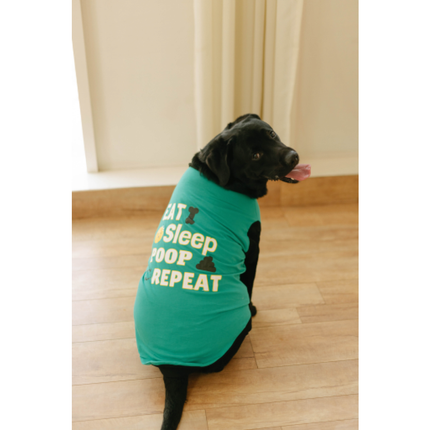 Pet Set Go Eat Sleep Poop Repeat T-shirt for  Dogs (Cyan)