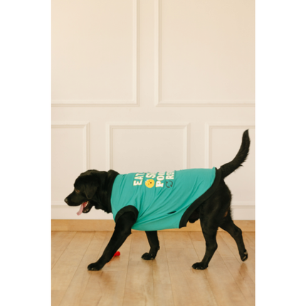 Pet Set Go Eat Sleep Poop Repeat T-shirt for  Dogs (Cyan)
