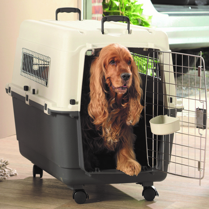 Savic Andes 5 Carrier for Dogs and Cats (Ivory)