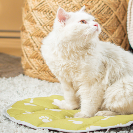 Pet Set Go Paws & Bones Heaven Mat for Cats (Green)