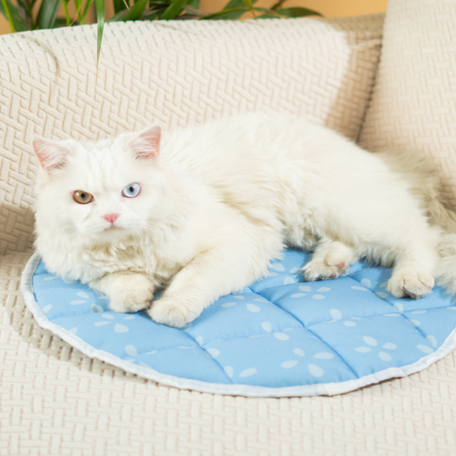 Pet Set Go Sky Bloom Mat for Cats (Green)