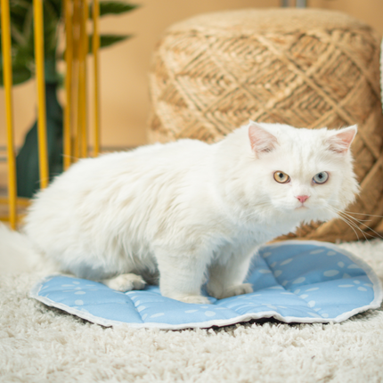 Pet Set Go Sky Bloom Mat for Cats (Green)
