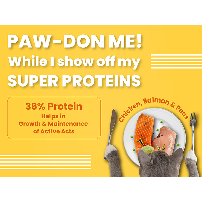 Bark Out Loud Salmon and Chicken Adult Cat Dry Food
