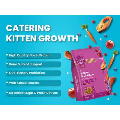 Bark Out Loud Salmon and Chicken Kitten Dry Food