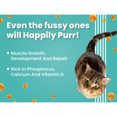 Bark Out Loud Salmon and Chicken Kitten Dry Food