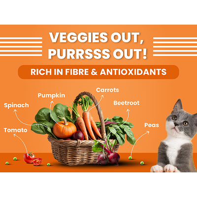 Bark Out Loud Salmon and Chicken Kitten Dry Food